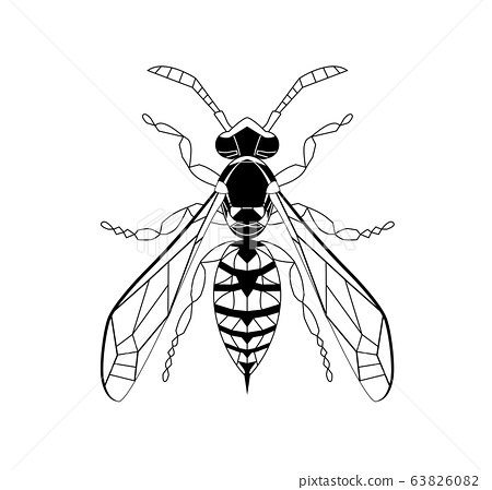 Wasp line drawing cartoon for adult antistress