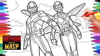 Antan and the wasp coloring pages how to draw antan and the wasp arvel superheroes