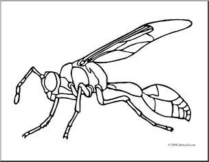 Clip art insects wasp coloring page i