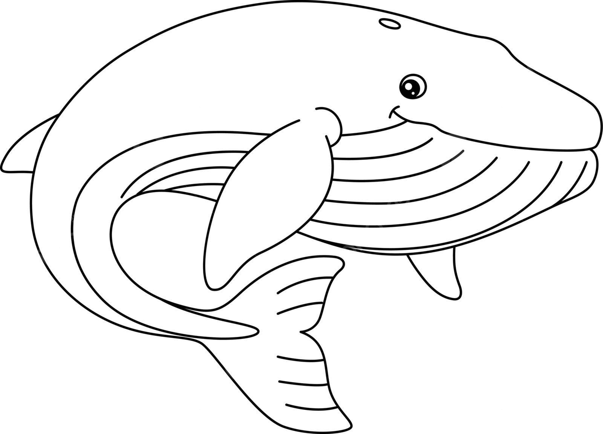 Blue whale coloring page isolated for kids coloring book nature cute vector book drawing whale drawing ring drawing png and vector with transparent background for free download