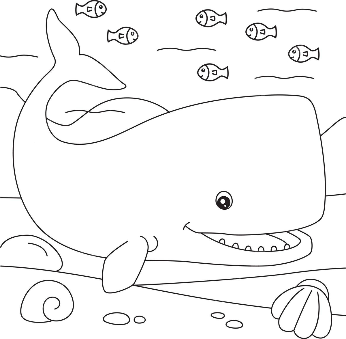 Sperm whale coloring page for kids graphic baby ocean vector baby drawing whale drawing ocean drawing png and vector with transparent background for free download