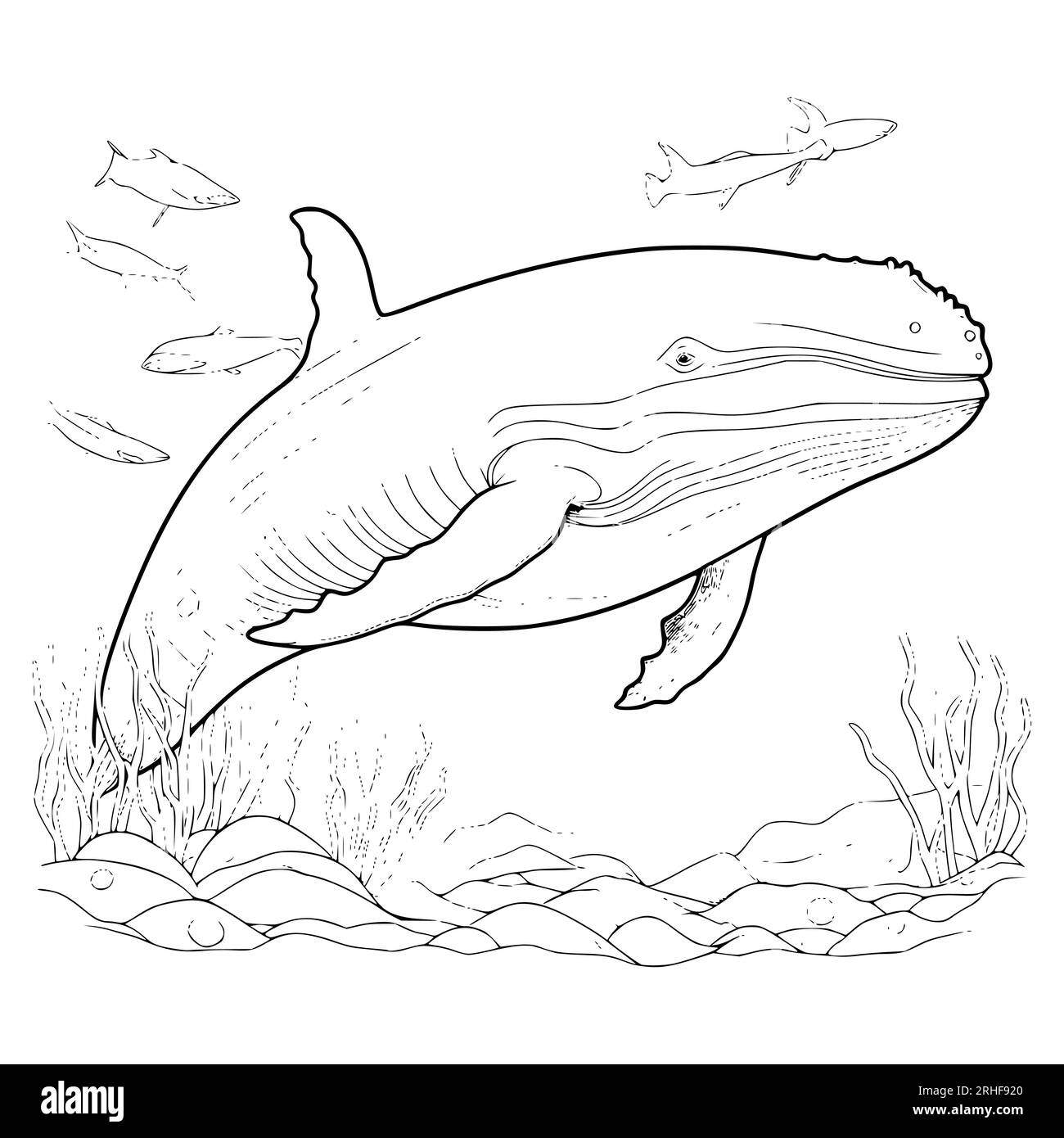 Blue whale coloring pages drawing for kids stock vector image art