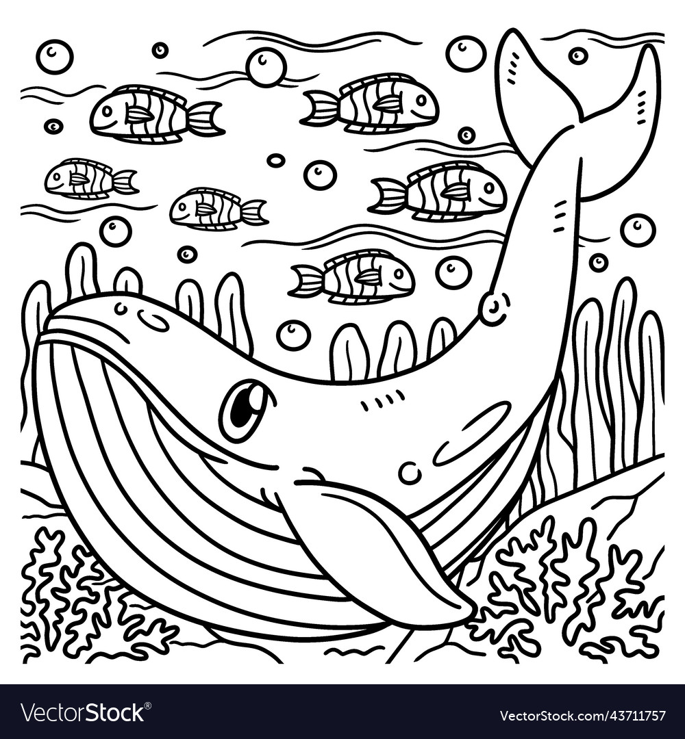 Blue whale coloring page for kids royalty free vector image