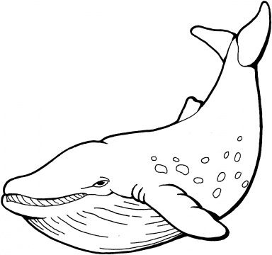 Coloring pages directory whale coloring pages animal coloring pages shark coloring pages