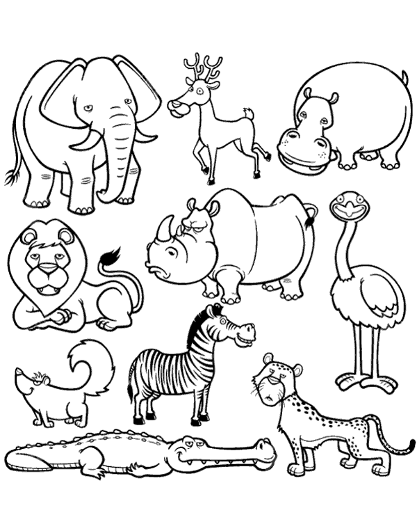 African animals coloring page for kids