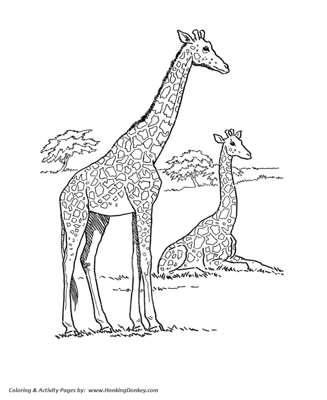 Wild animal coloring pages african giraffe coloring page and kids activity sheet