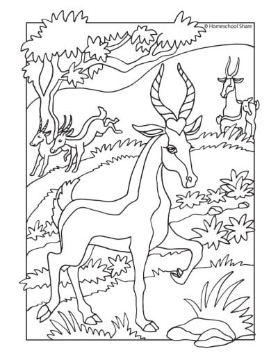 African animals coloring pages