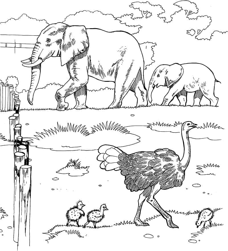 African animals image coloring page