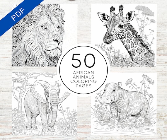 Kdp interior african animals coloring pages x printable pdf canva template realistic africa willdlife coloring book download now