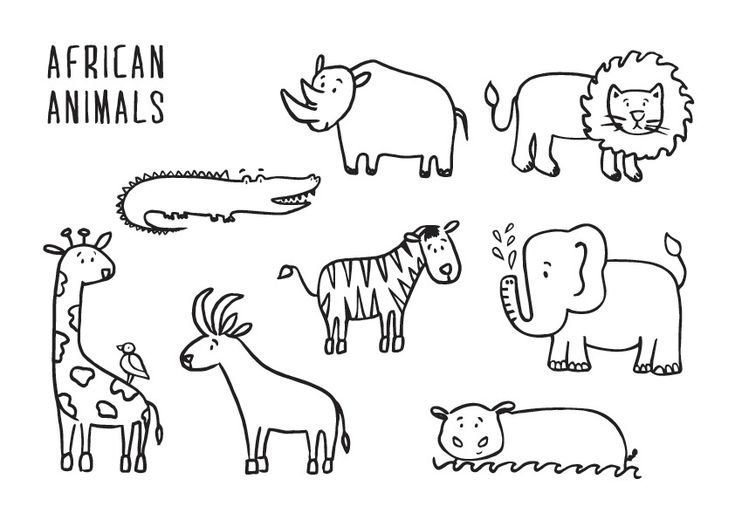 African animals colouring page african animals easy animal drawings african animals activities