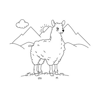 Page alpaca colouring book images