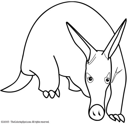 Aardvark coloring pages coloring pages to print animal science