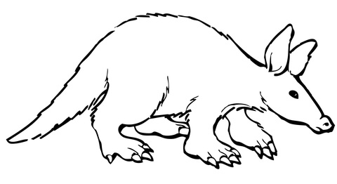 Aardvark coloring page free printable coloring pages