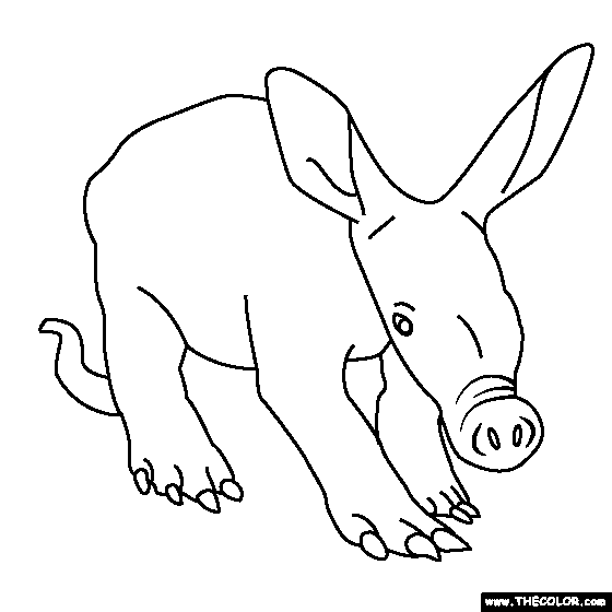 Baby aardvark coloring page