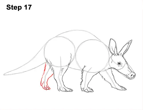 How to draw an aardvark