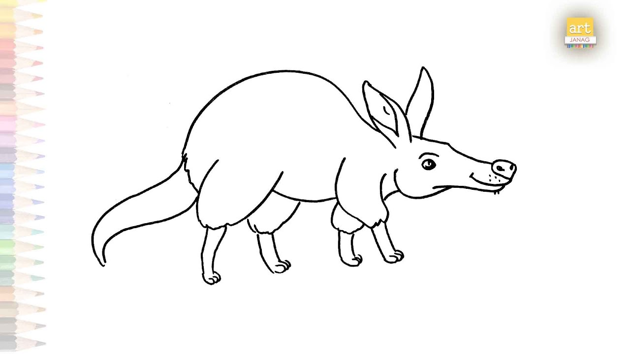 Aardvark drawing easy easy animal drawings how to draw aardvark step by step