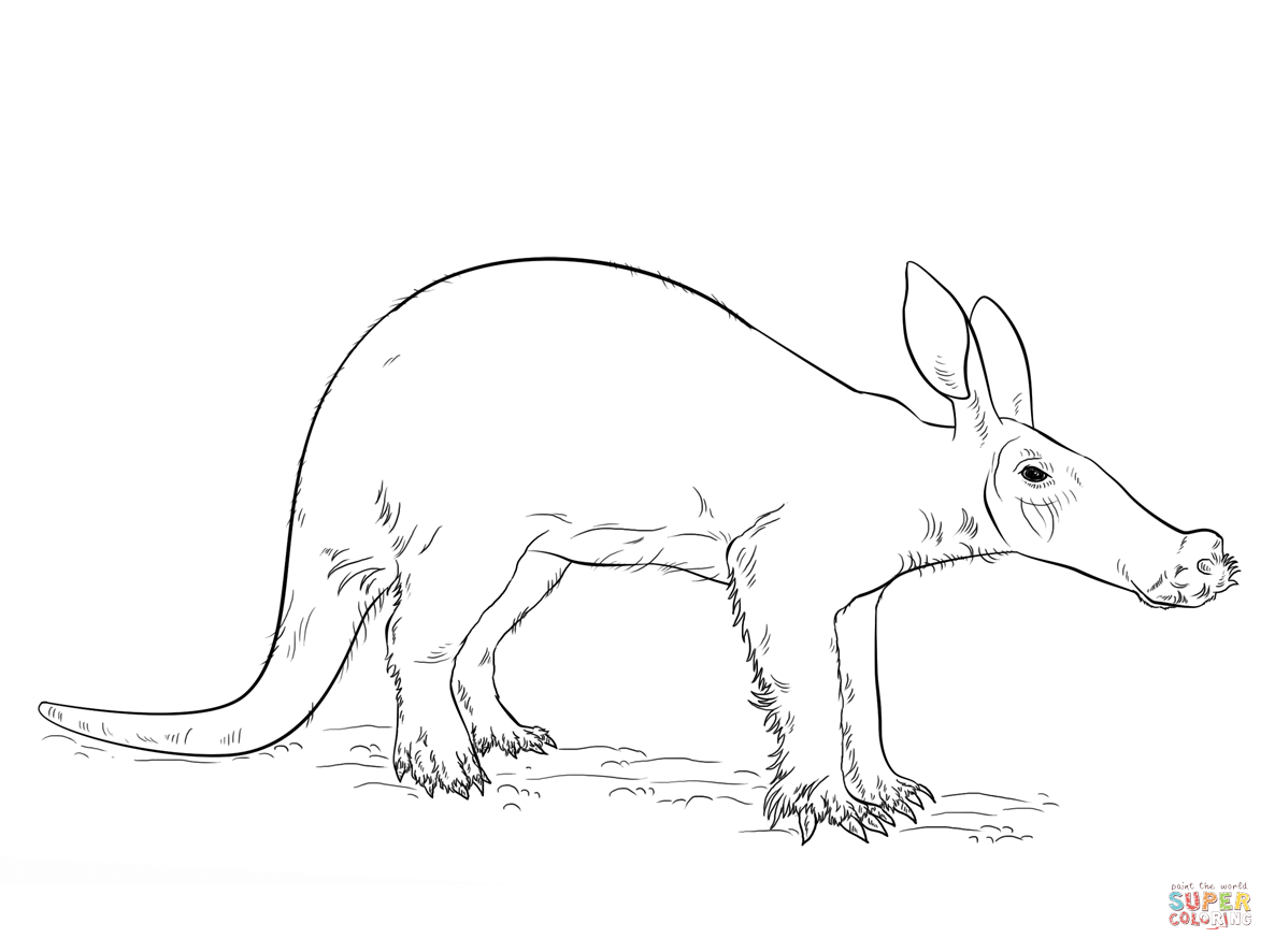 Aardvark coloring page free printable coloring pages