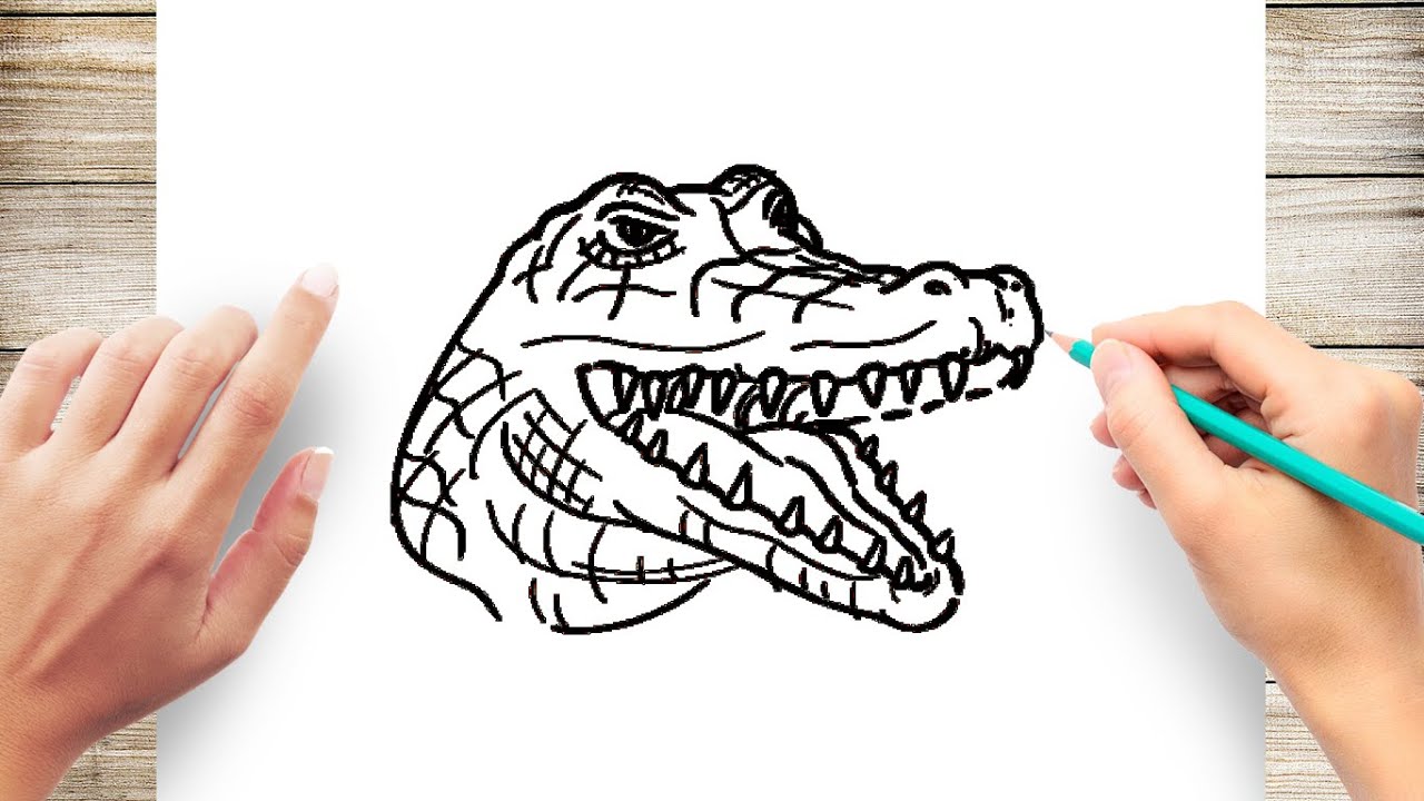 How to draw crocodile face