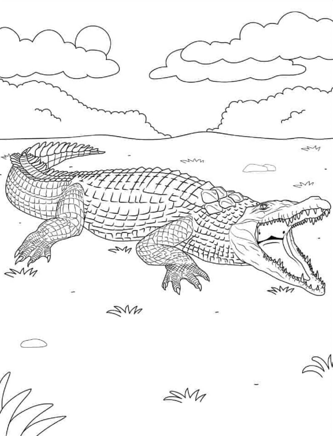 Crocodile mandala coloring pages