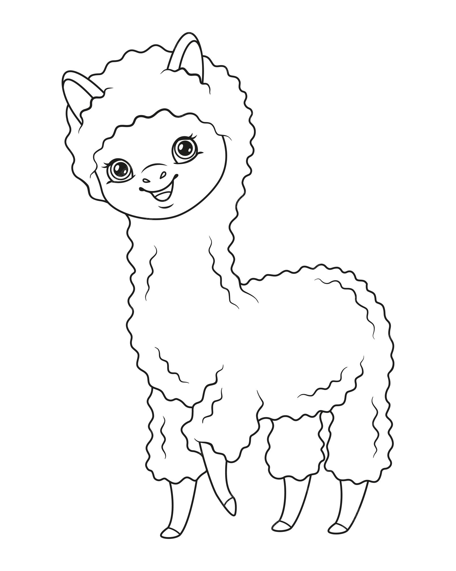 Premium vector sute alpaca coloring page