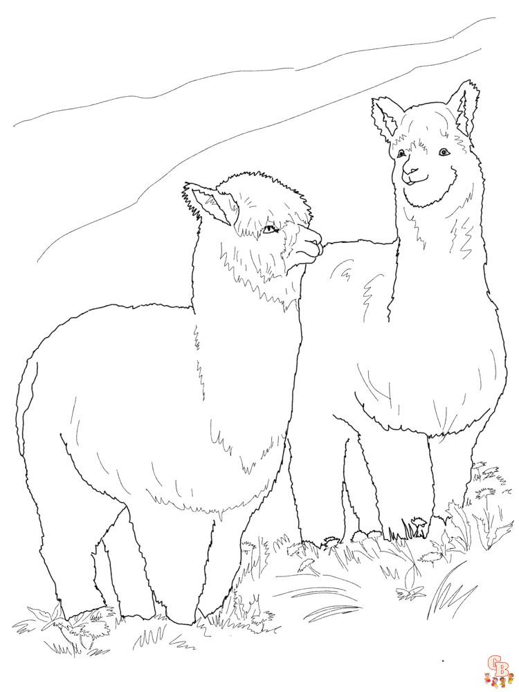 Alpaca coloring pages