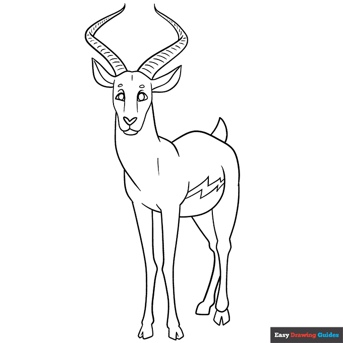 Antelope coloring page easy drawing guides