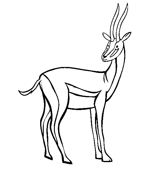 Antelope coloring page