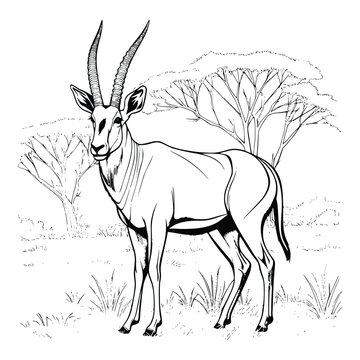 Antelope coloring pages for kids vector