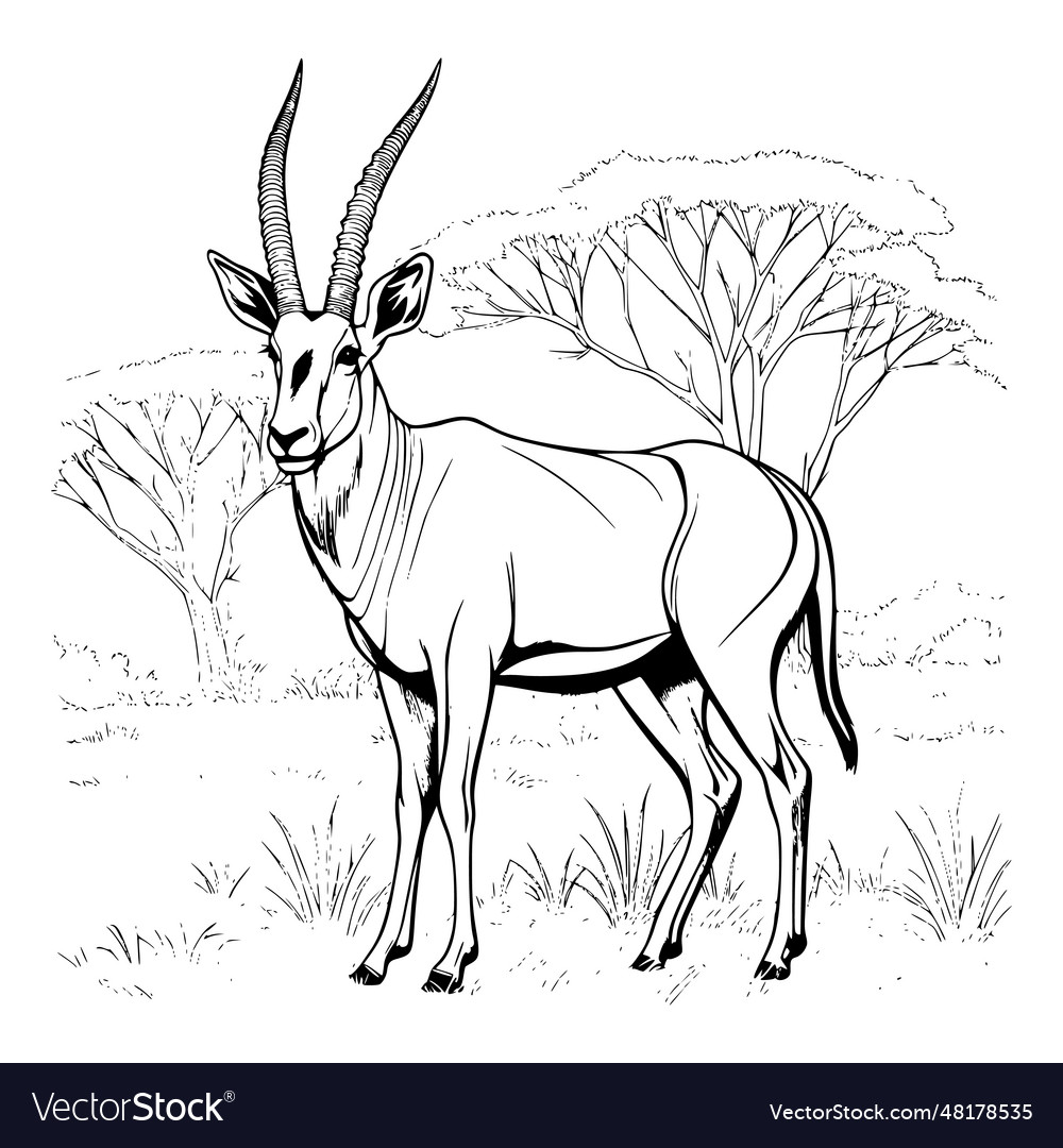 Antelope coloring pages for kids royalty free vector image