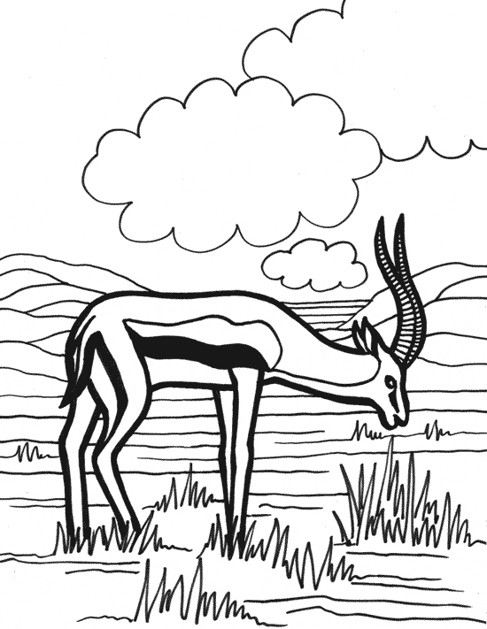 Antelope coloring page