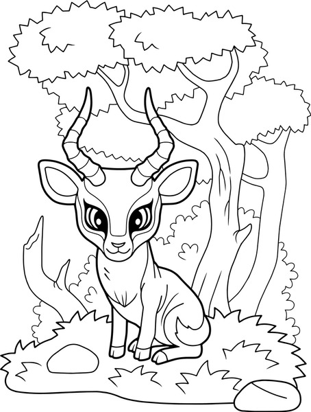 Antelope coloring book images stock photos d objects vectors