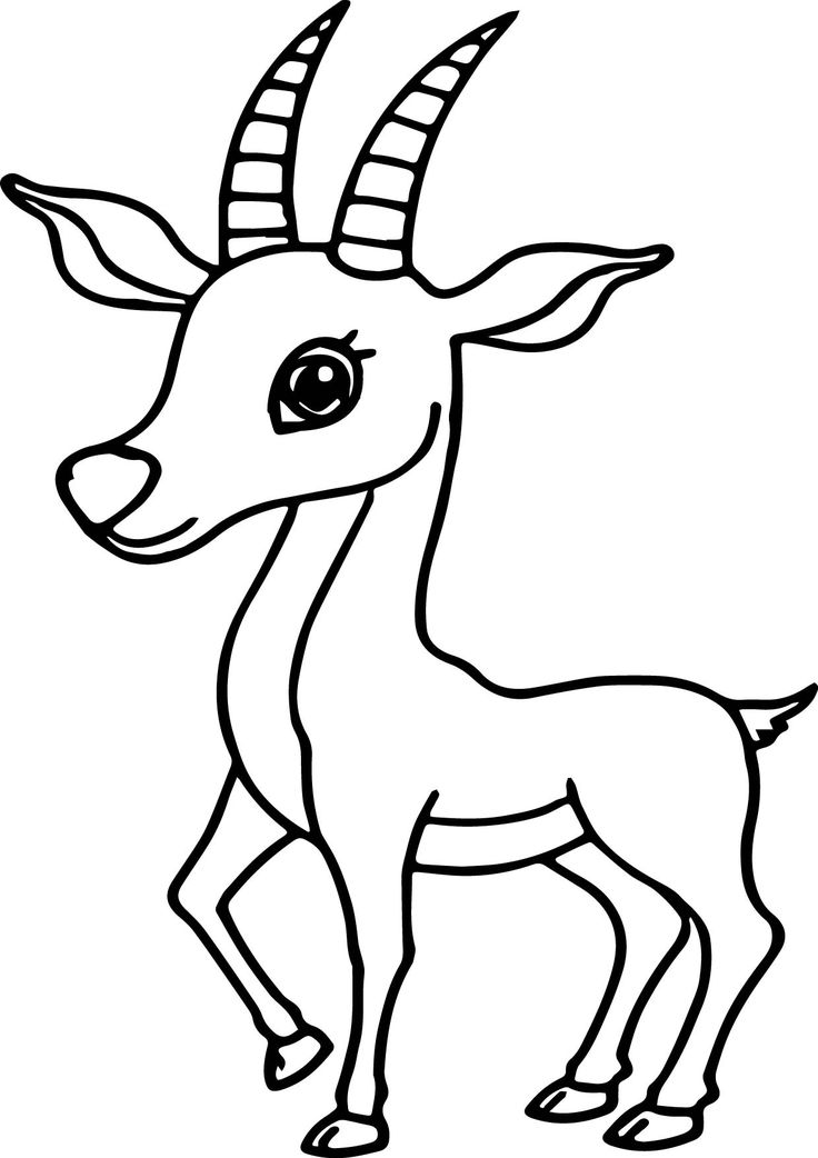 Antelope coloring pages