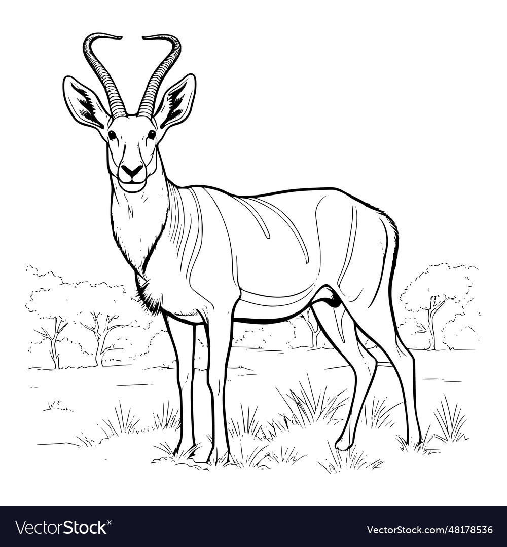 Antelope coloring pages for kids royalty free vector image