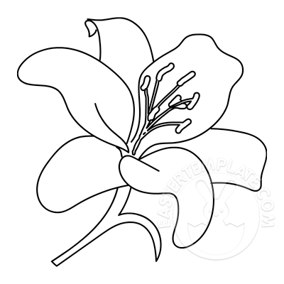 Easter lily coloring page