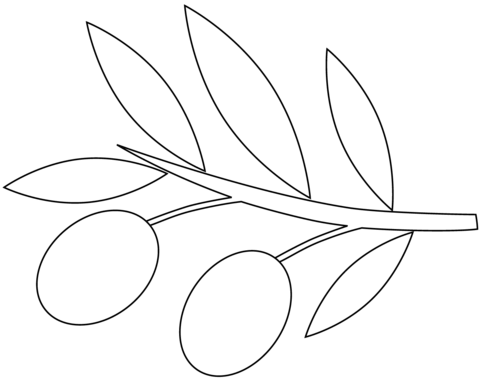 Olive branch coloring page free printable coloring pages