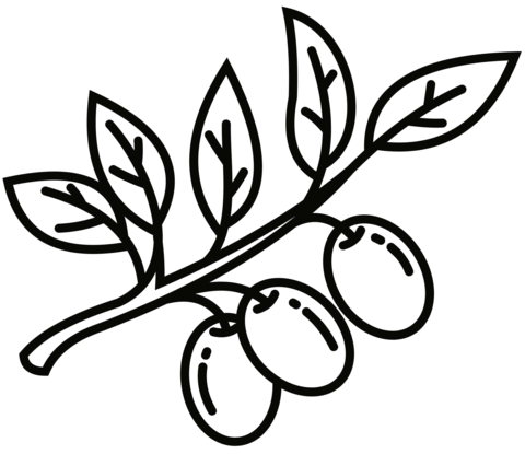 Olive branch coloring page free printable coloring pages