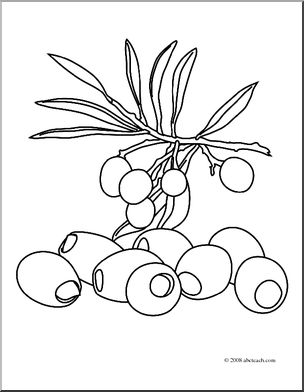 Clip art fruit olives coloring page i