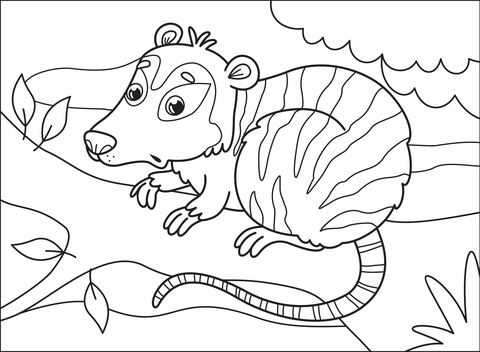 Opossum coloring page free printable coloring pages