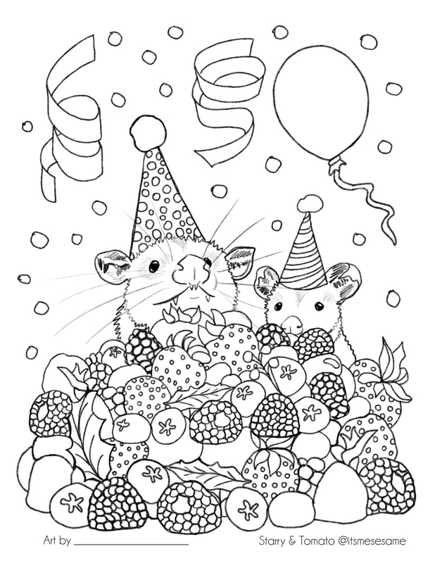 Official sesame coloring book