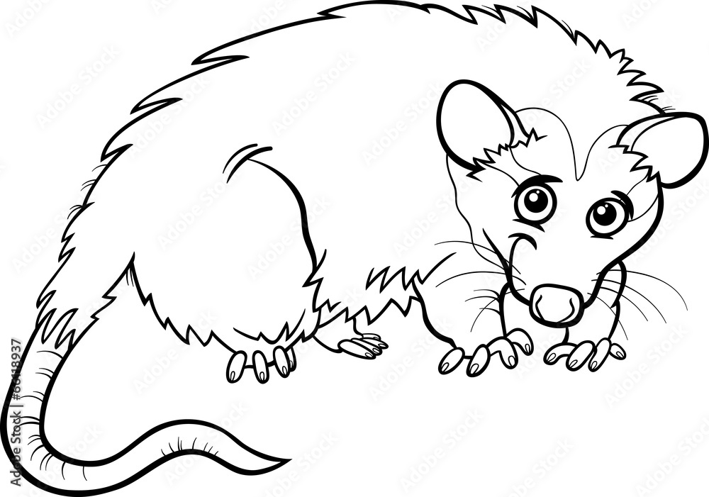 Opossum animal cartoon coloring book vector