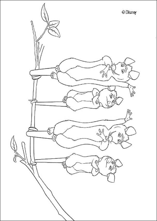 Opossum family coloring pages