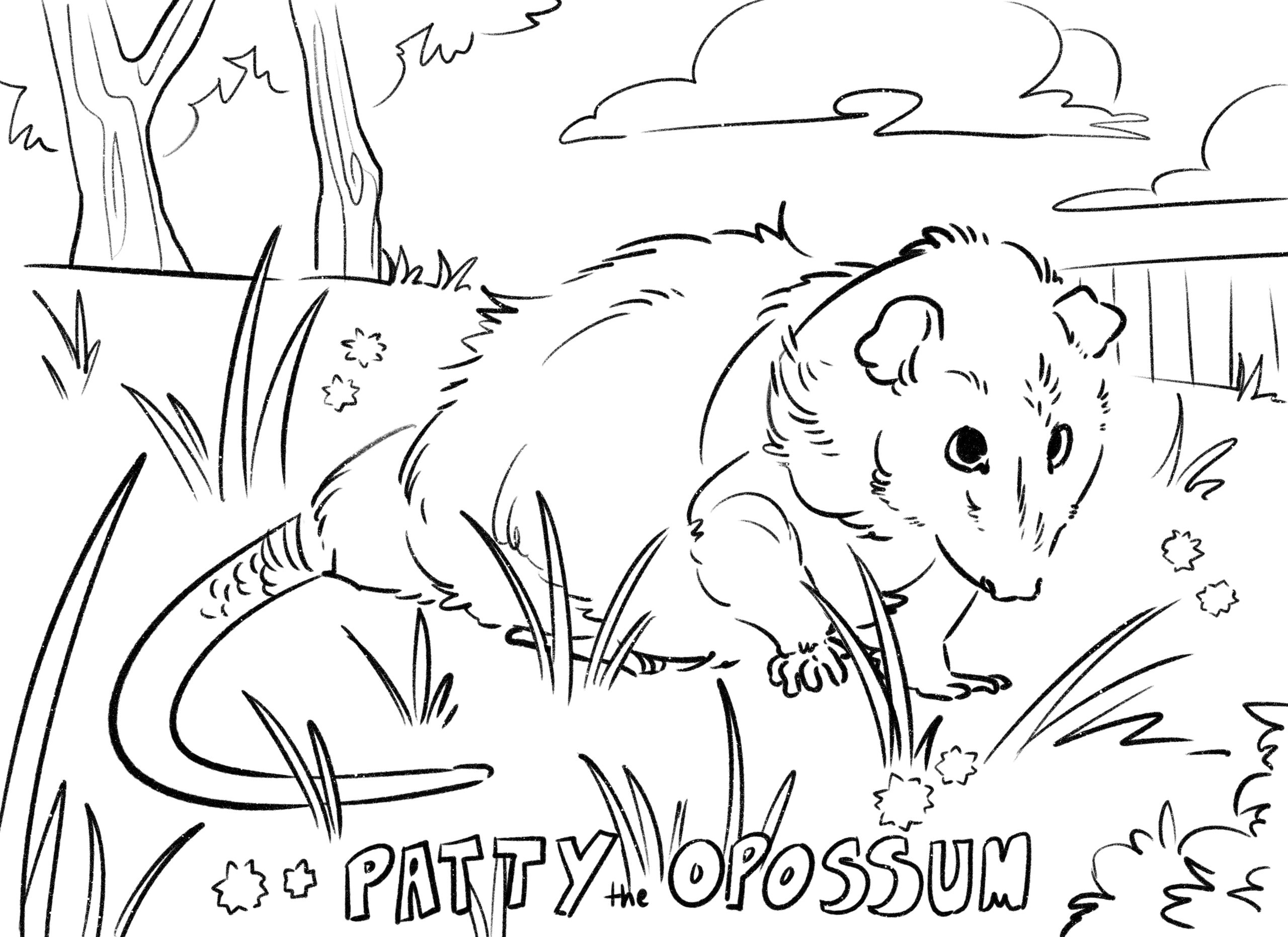 Patty the opossum coloring page