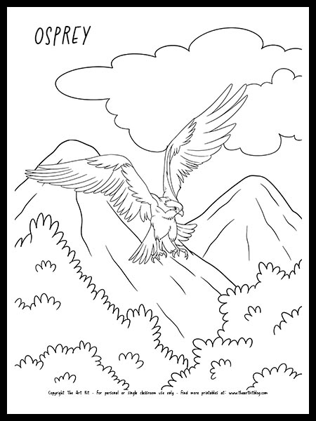 Osprey coloring page free printable â the art kit