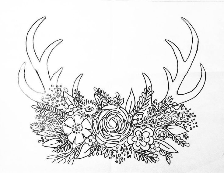 Free printable coloring sheet deer antler traceable angelafineart copyright angela anderson not for meâ the art sherpa coloring pages adult coloring page