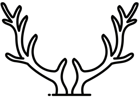 Reindeer antlers coloring page free printable coloring pages