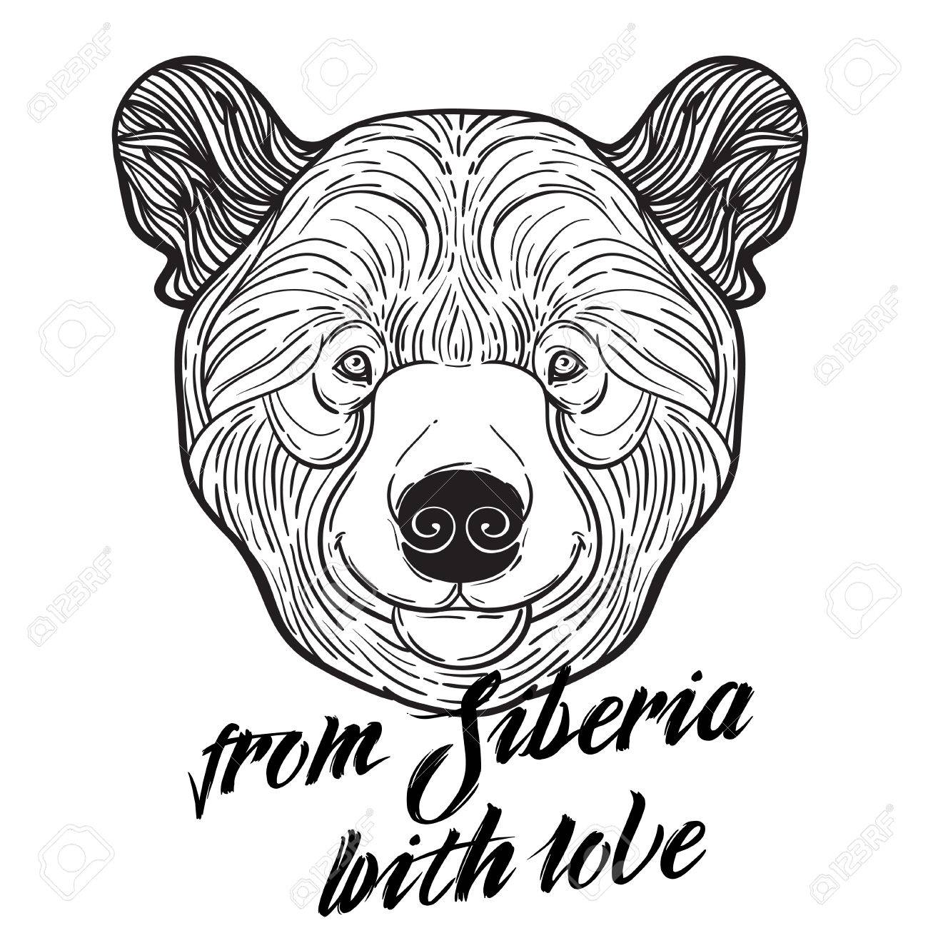 Animal teddy bear head print for adult anti stress coloring page ethnic patterned ornate hand drawn vector illustration symbol of siberia russia sketch for tattoo poster print or t