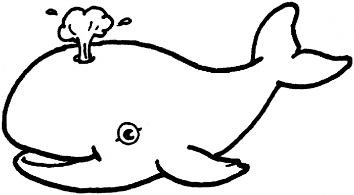 Beluga whale coloring page