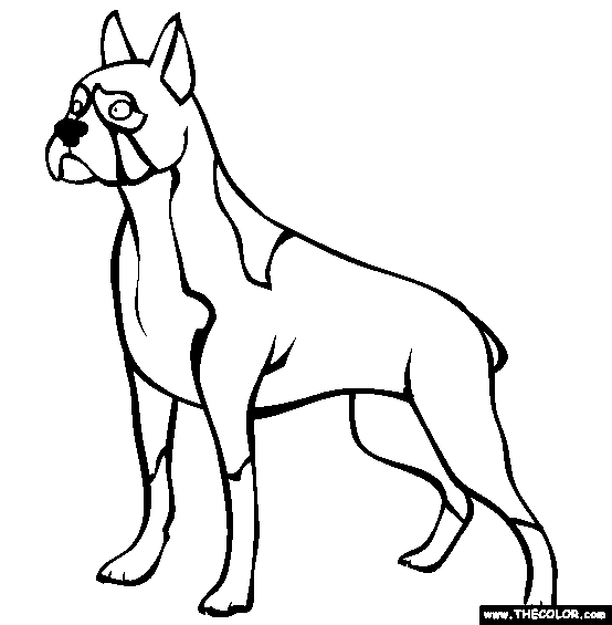 Boxer coloring page free boxer online coloring