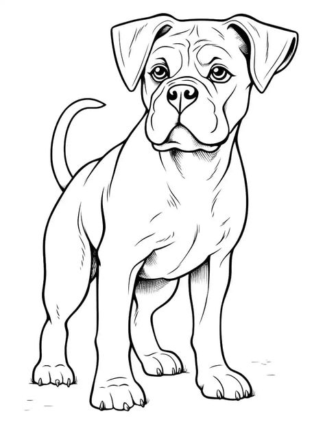 Top boxer coloring page ideas and inspiration