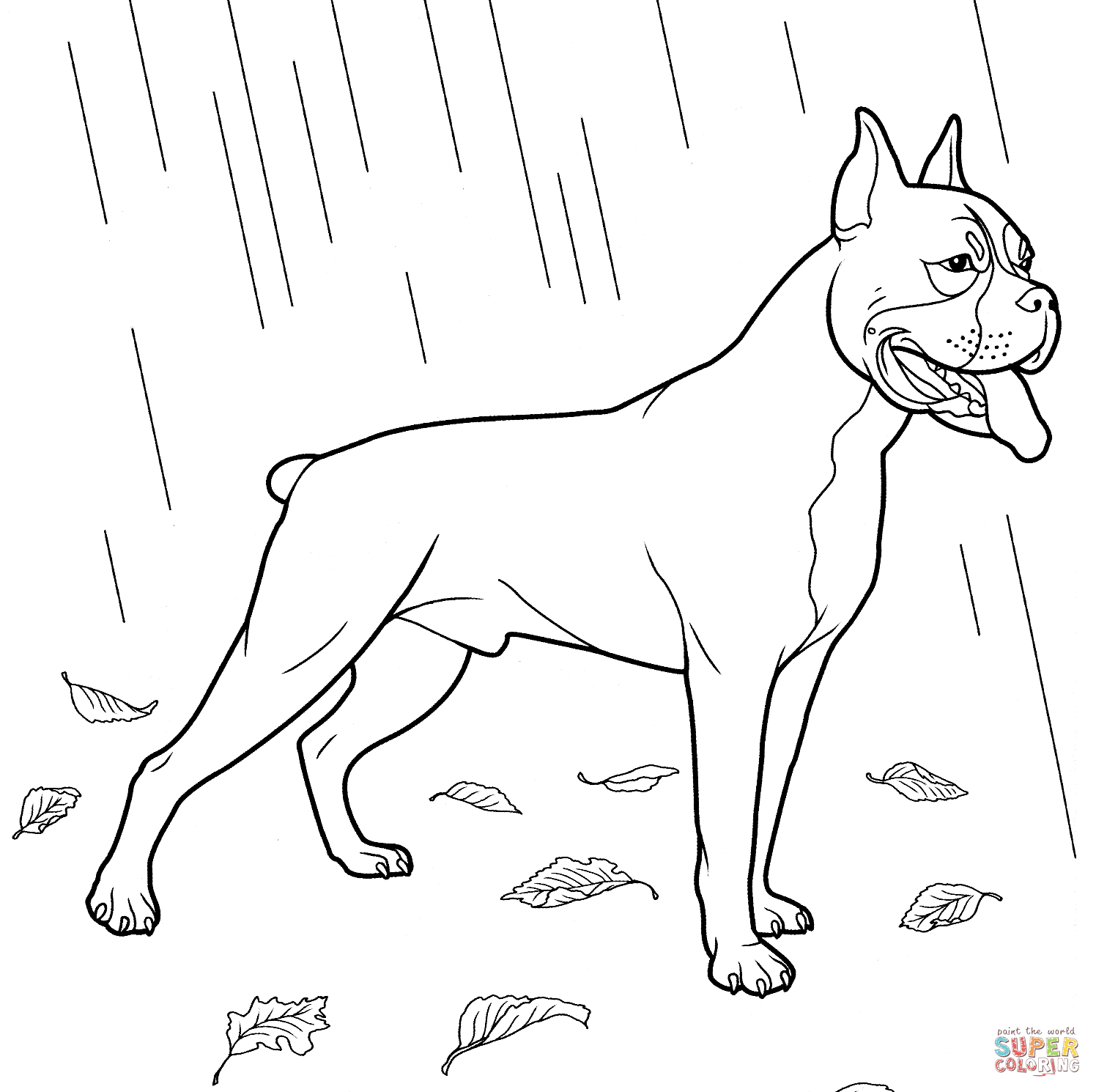 Boxer dog coloring page free printable coloring pages